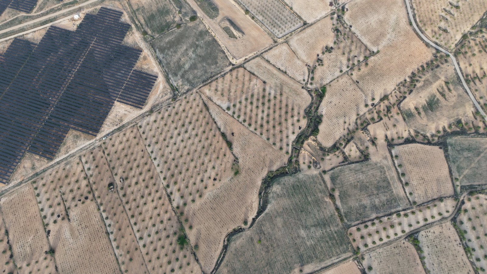 150,113 m² Land in Jumilla - Caza De Casa