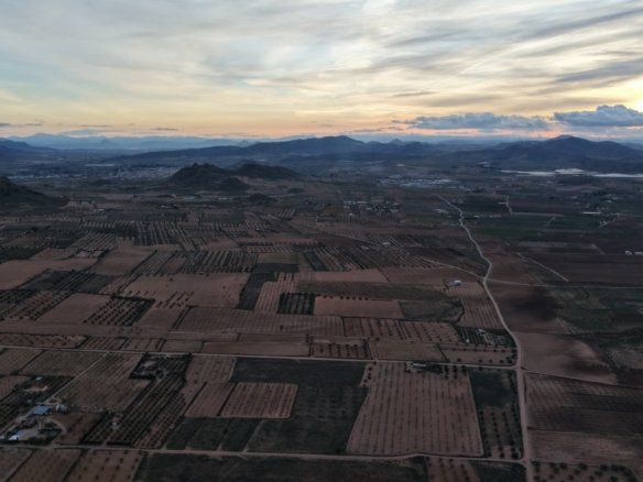 7,733 m² Land in Jumilla - Caza De Casa