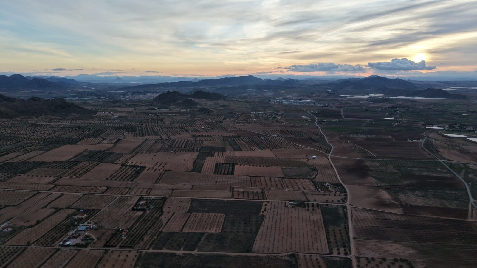 7,733 m² Land in Jumilla - Caza De Casa