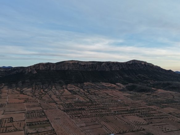 7,733 m² Land in Jumilla - Caza De Casa