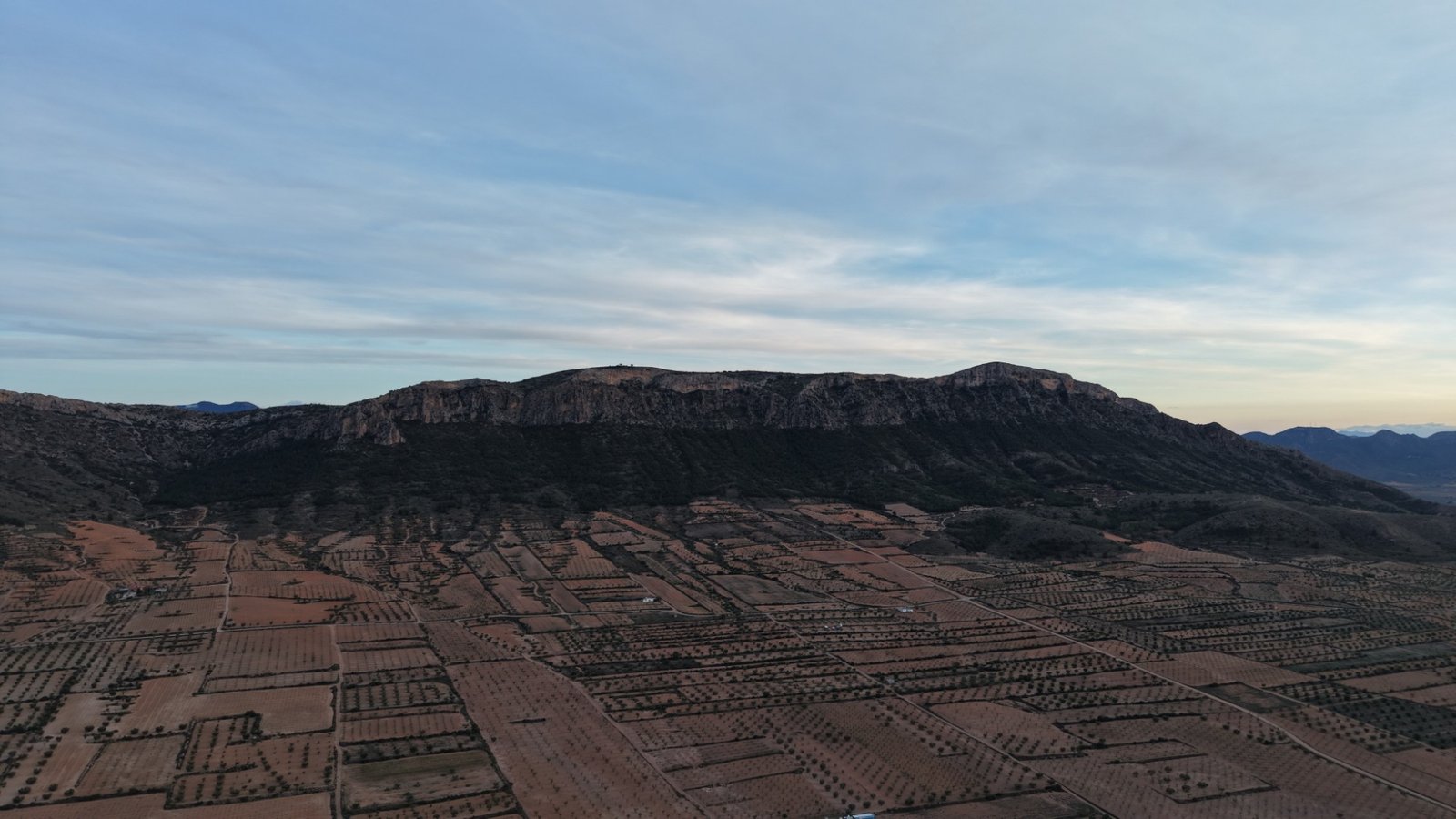 7,733 m² Land in Jumilla - Caza De Casa