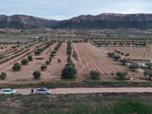 7,733 m² Land in Jumilla - Caza De Casa