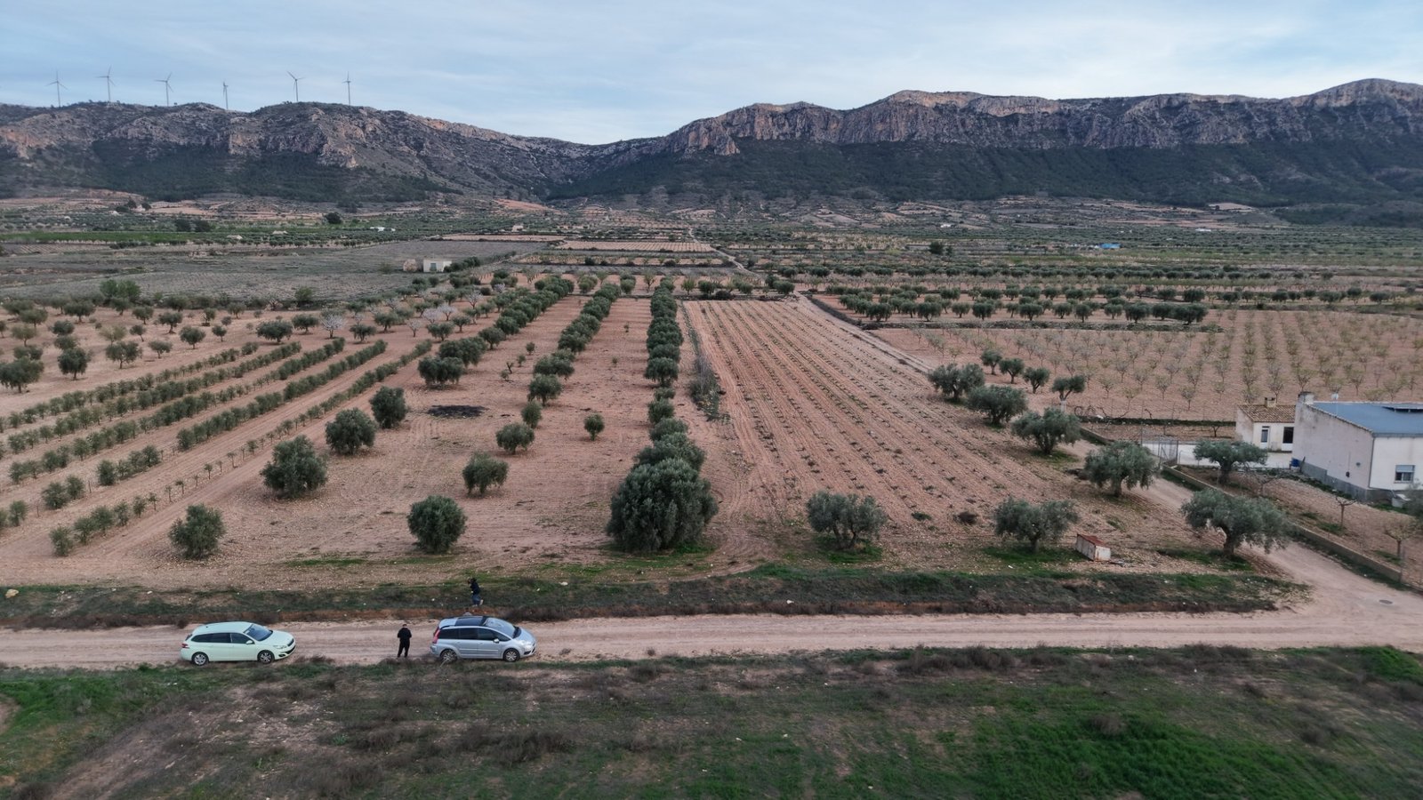 7,733 m² Land in Jumilla - Caza De Casa