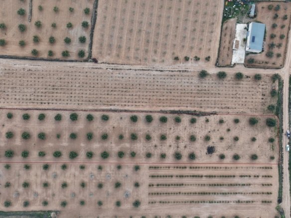 7,733 m² Land in Jumilla - Caza De Casa