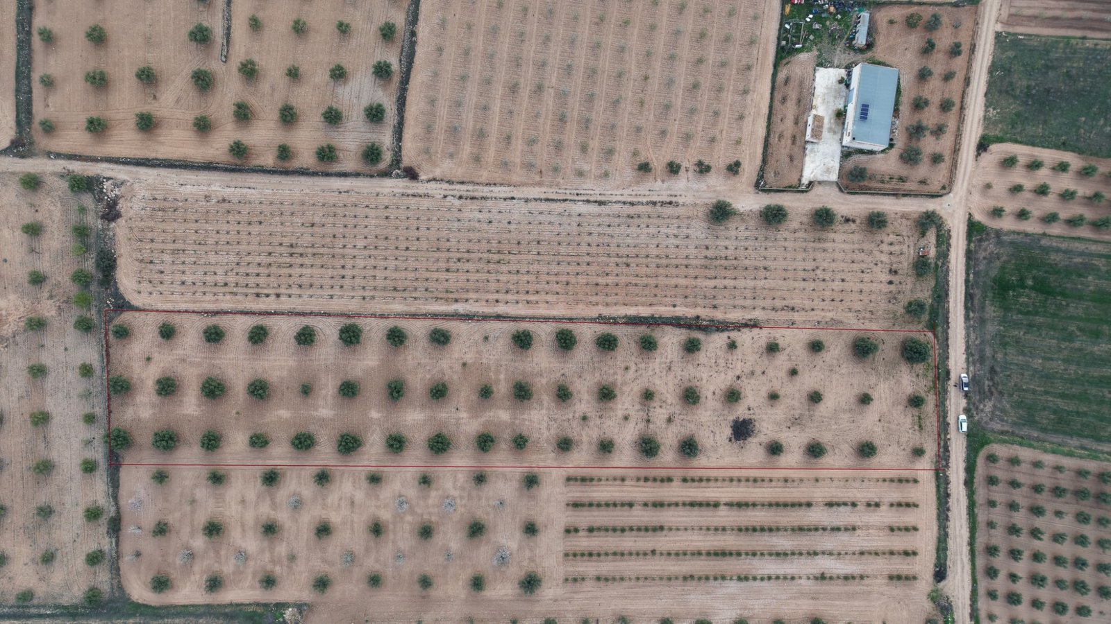 7,733 m² Land in Jumilla - Caza De Casa