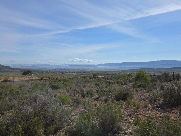 27,385 m² Land in Yecla - Caza De Casa