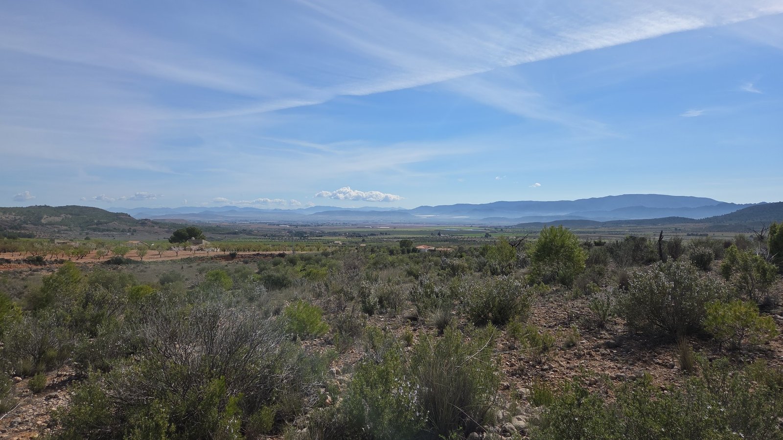 27,385 m² Land in Yecla - Caza De Casa