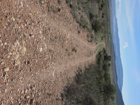 27,385 m² Land in Yecla - Caza De Casa