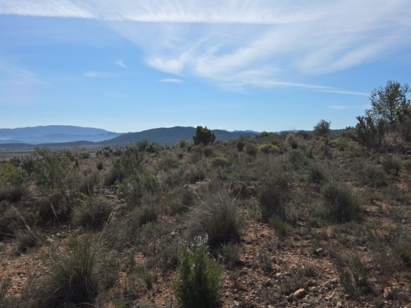 27,385 m² Land in Yecla - Caza De Casa