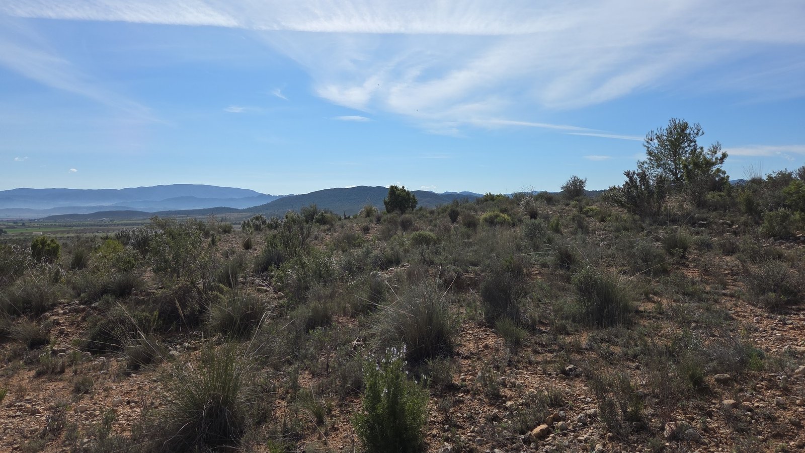 27,385 m² Land in Yecla - Caza De Casa
