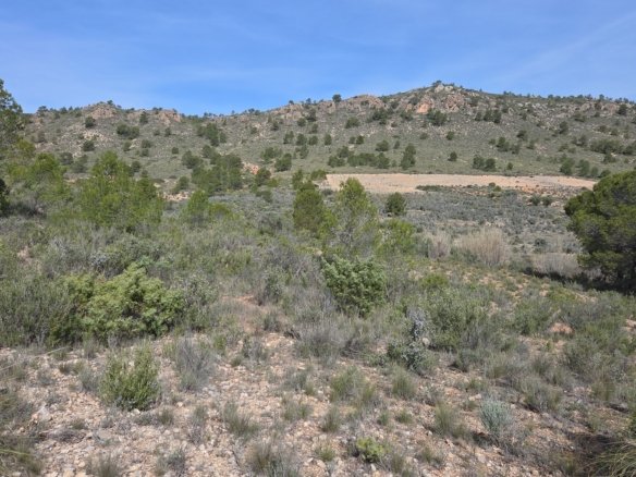 27,385 m² Land in Yecla - Caza De Casa