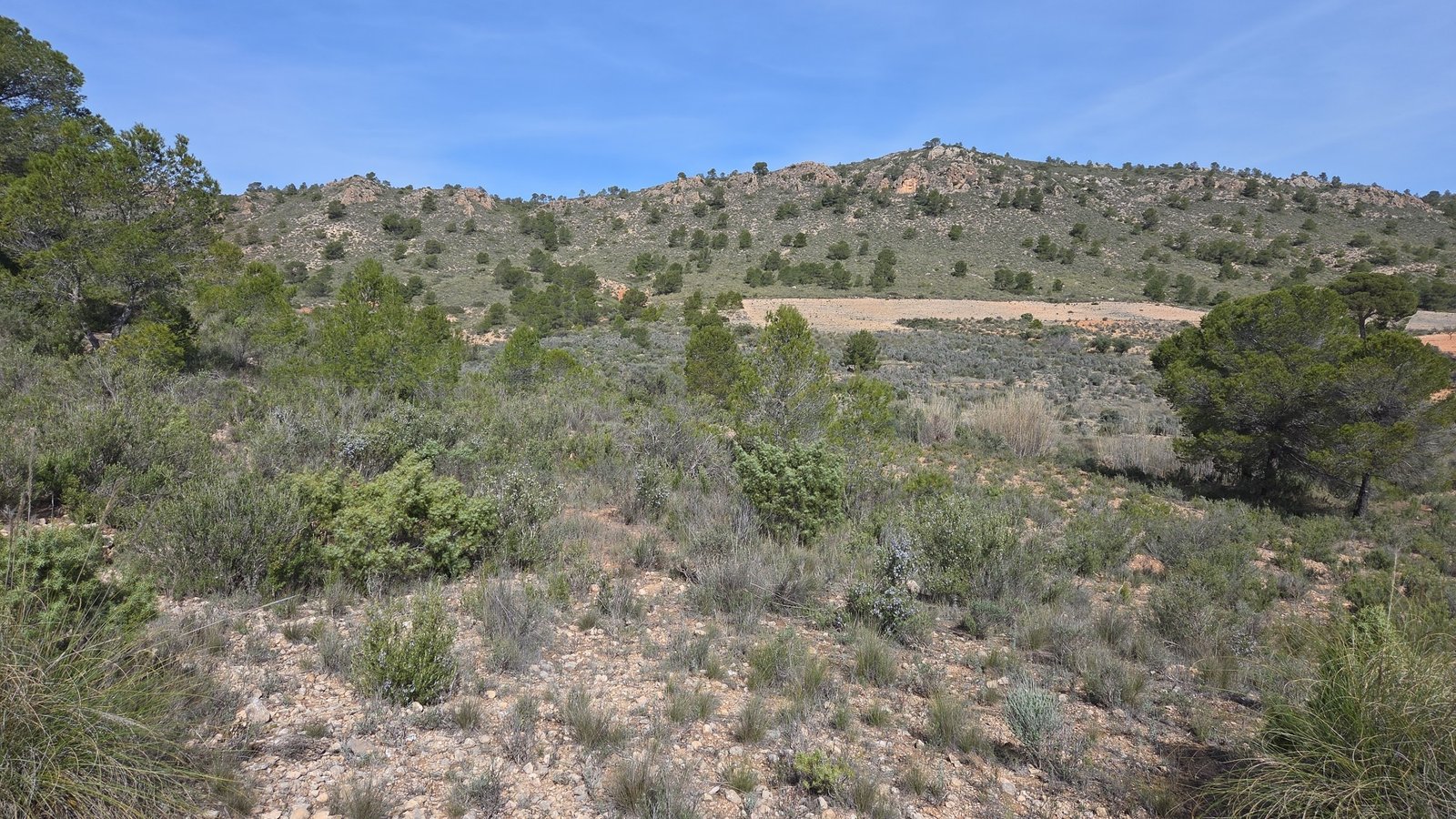 27,385 m² Land in Yecla - Caza De Casa