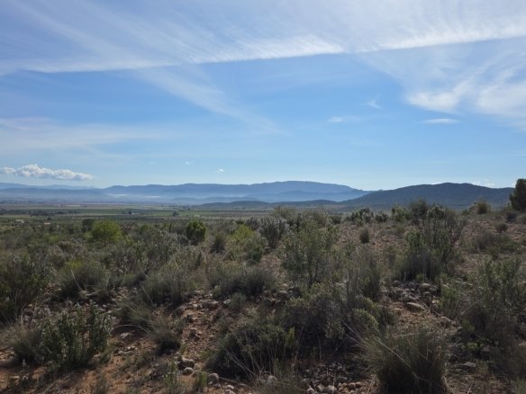 27,385 m² Land in Yecla - Caza De Casa