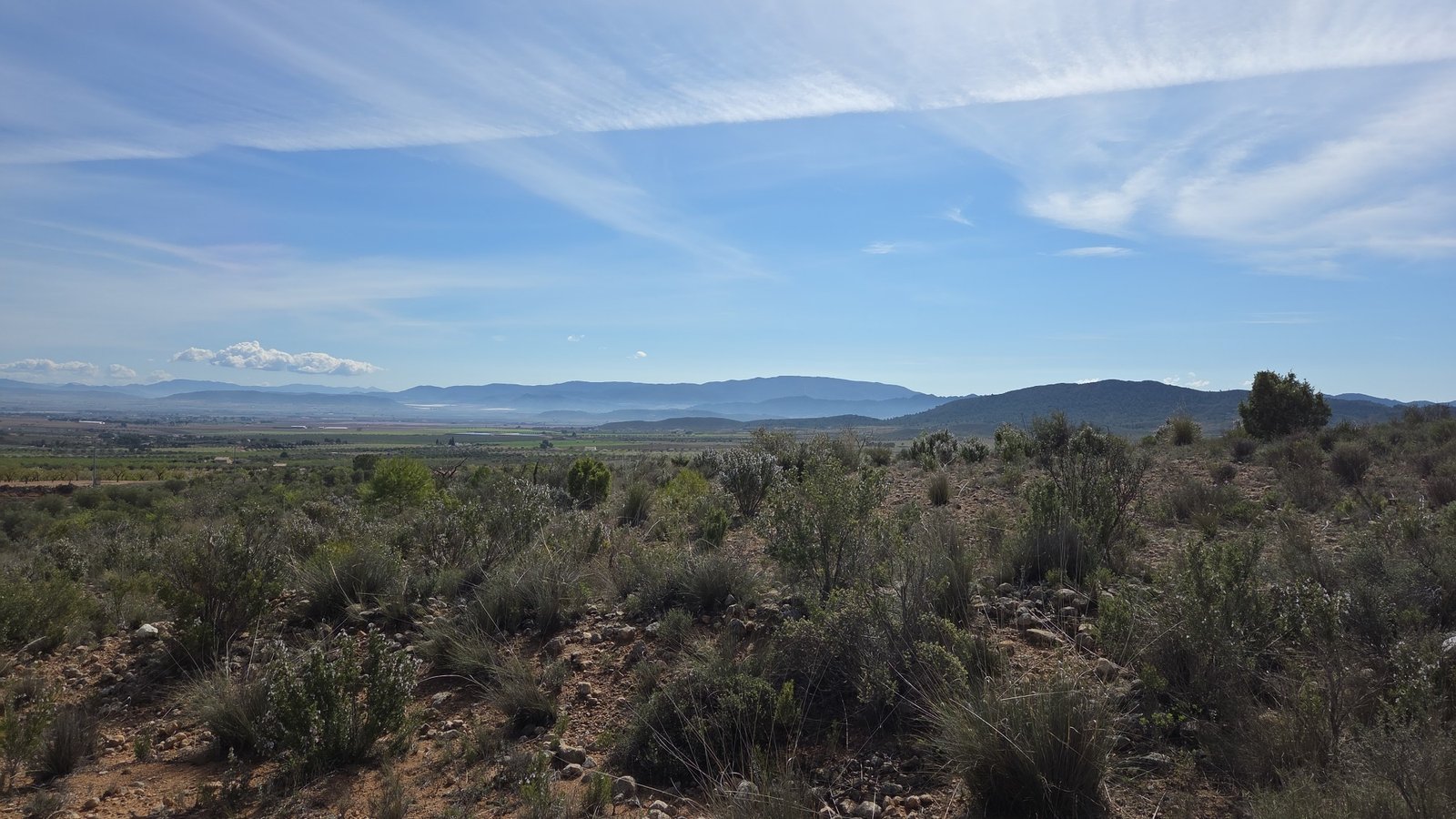 27,385 m² Land in Yecla - Caza De Casa