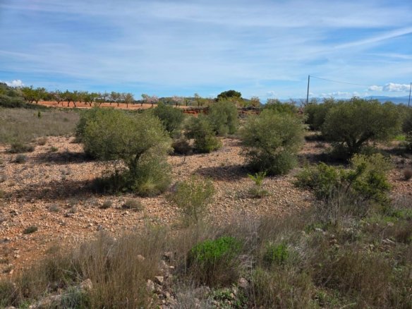 27,385 m² Land in Yecla - Caza De Casa