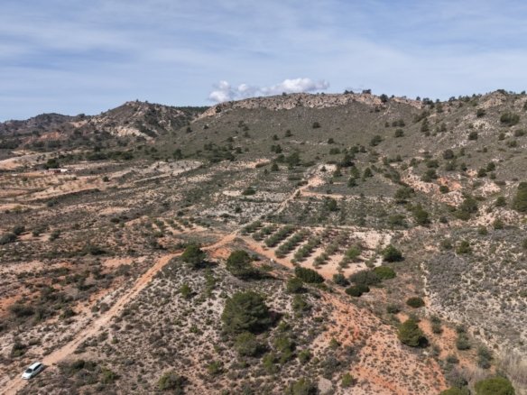 27,385 m² Land in Yecla - Caza De Casa