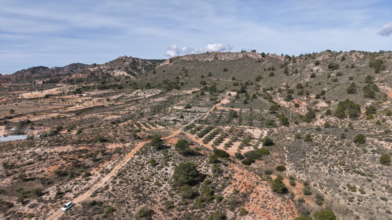 27,385 m² Land in Yecla - Caza De Casa