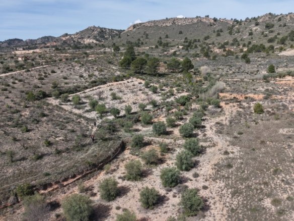 27,385 m² Land in Yecla - Caza De Casa