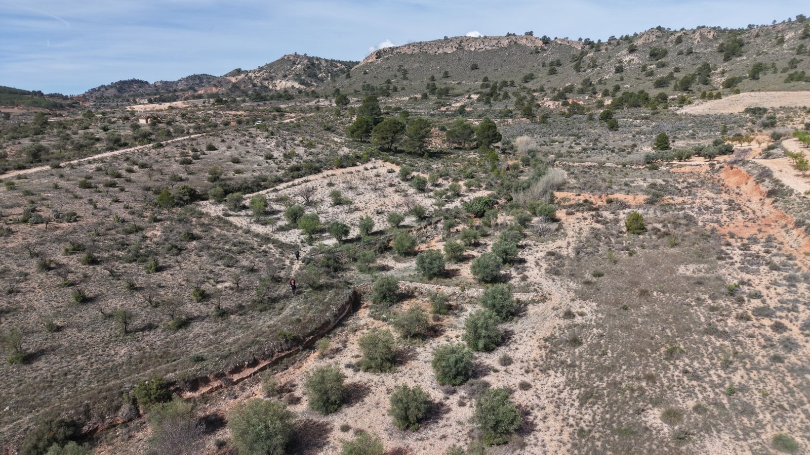 27,385 m² Land in Yecla - Caza De Casa