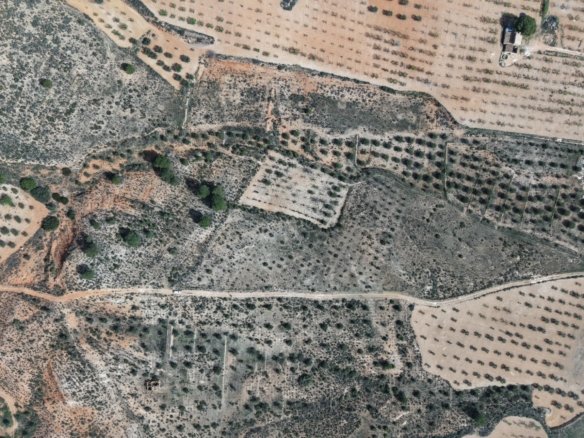 27,385 m² Land in Yecla - Caza De Casa