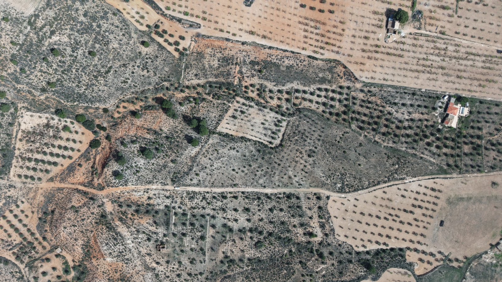 27,385 m² Land in Yecla - Caza De Casa
