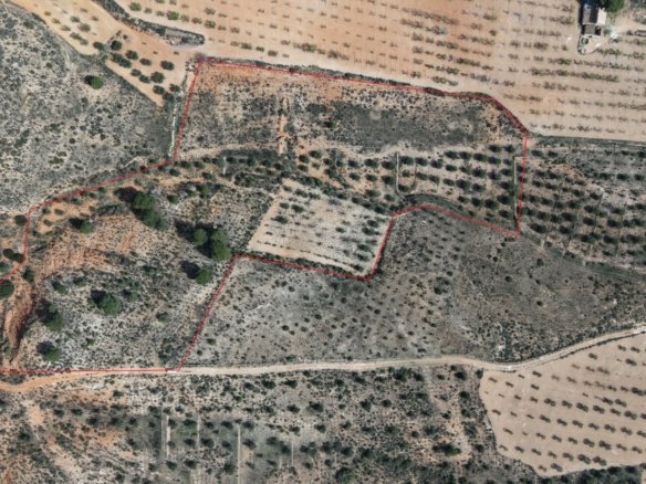 27,385 m² Land in Yecla - Caza De Casa
