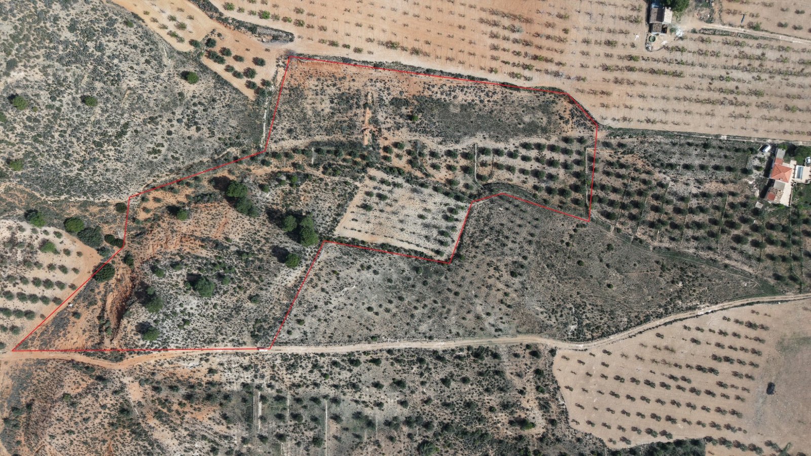 27,385 m² Land in Yecla - Caza De Casa