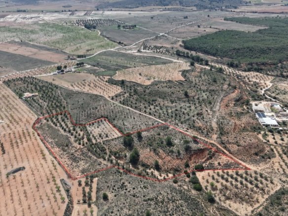 27,385 m² Land in Yecla - Caza De Casa