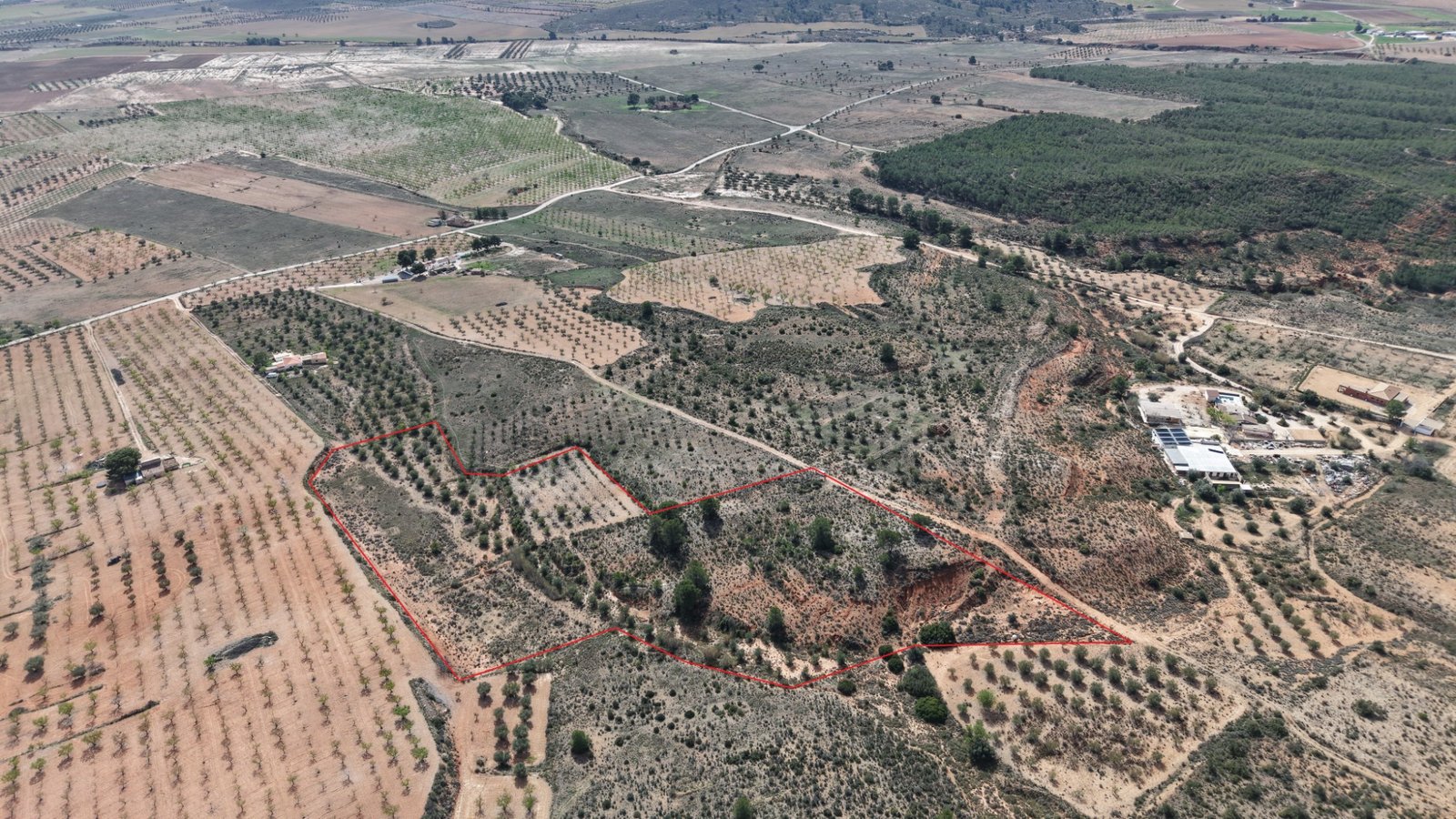 27,385 m² Land in Yecla - Caza De Casa