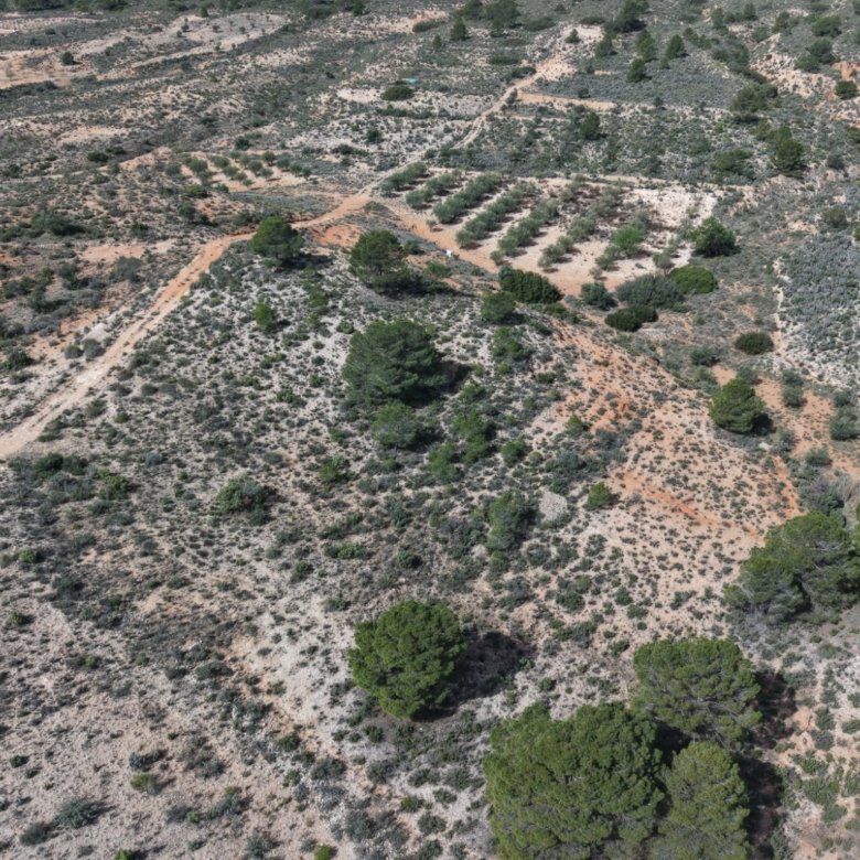 27,385 m² Land in Yecla - Caza De Casa