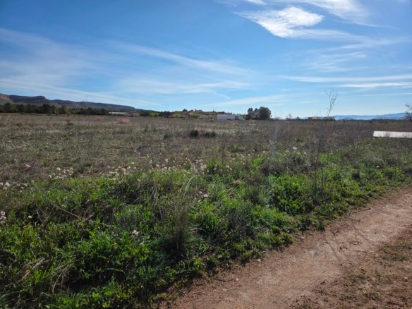 29,940 m² Land in Yecla - Caza De Casa
