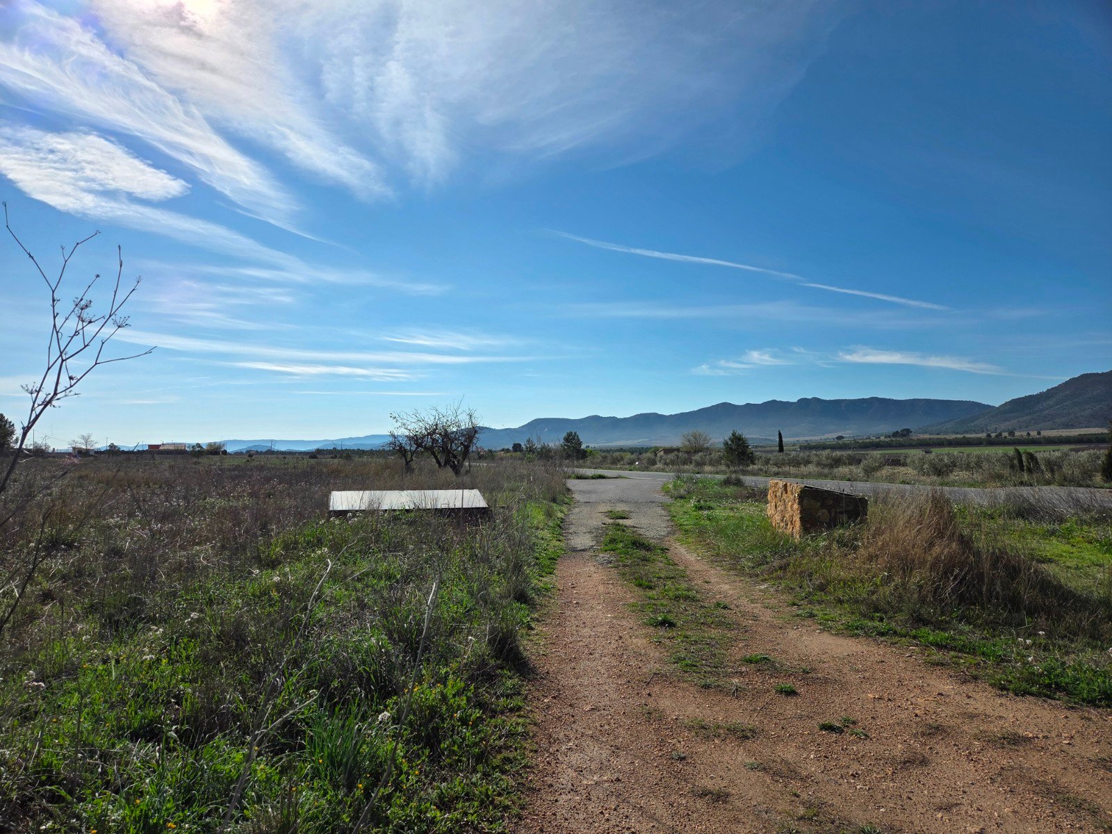 29,940 m² Land in Yecla - Caza De Casa