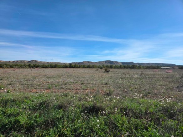 29,940 m² Land in Yecla - Caza De Casa