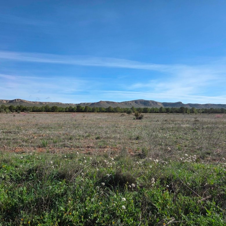 29,940 m² Land in Yecla - Caza De Casa