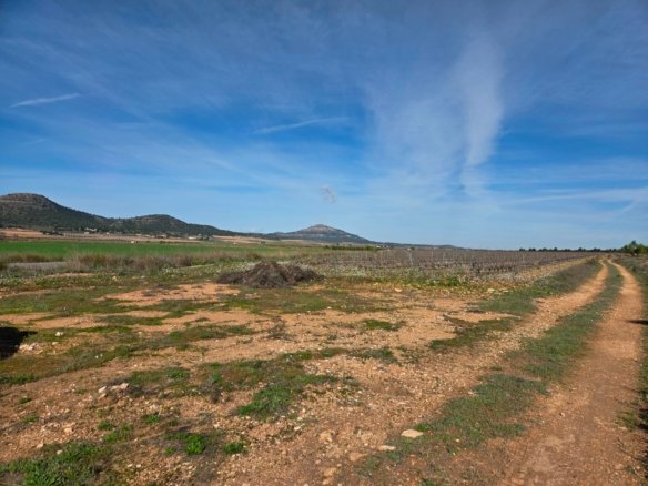 29,940 m² Land in Yecla - Caza De Casa