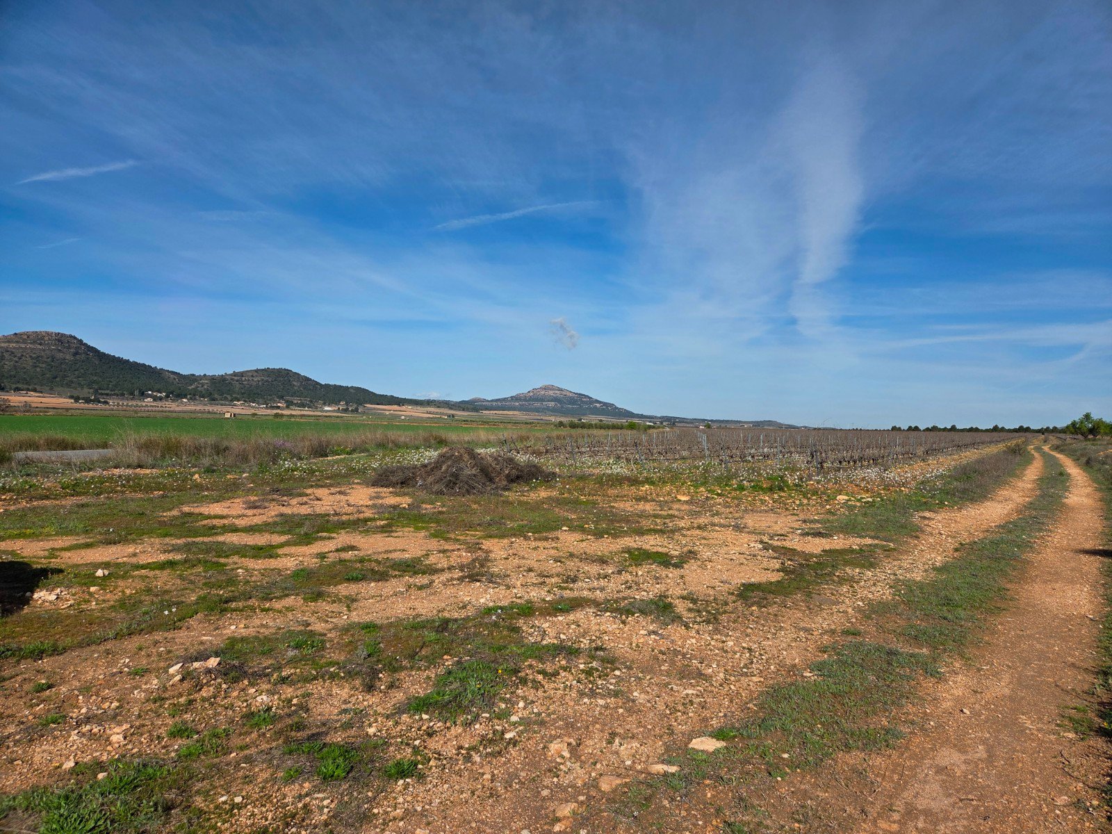 29,940 m² Land in Yecla - Caza De Casa