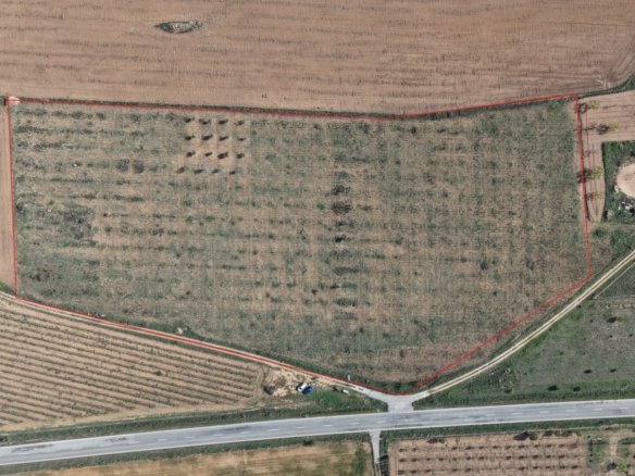 29,940 m² Land in Yecla - Caza De Casa