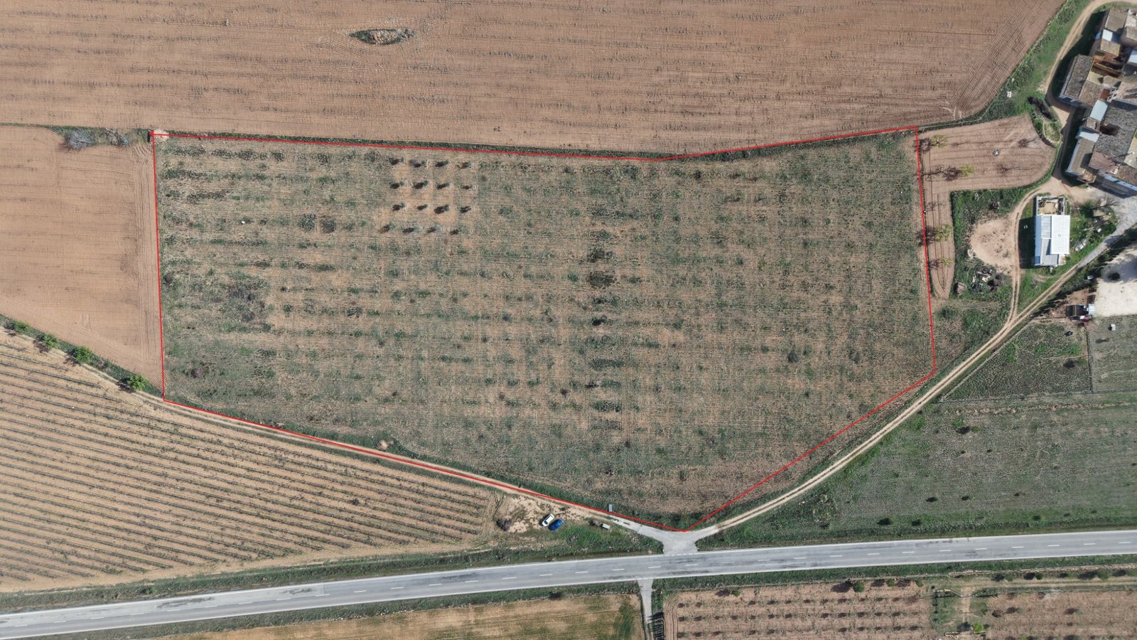 29,940 m² Land in Yecla - Caza De Casa