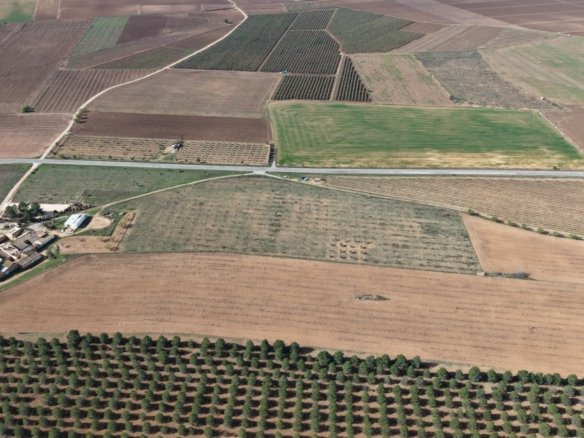 29,940 m² Land in Yecla - Caza De Casa