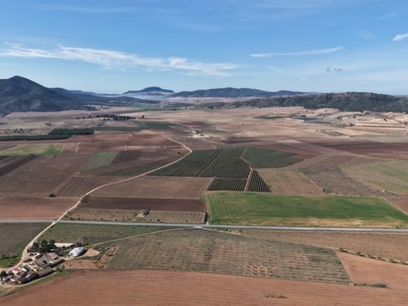 29,940 m² Land in Yecla - Caza De Casa
