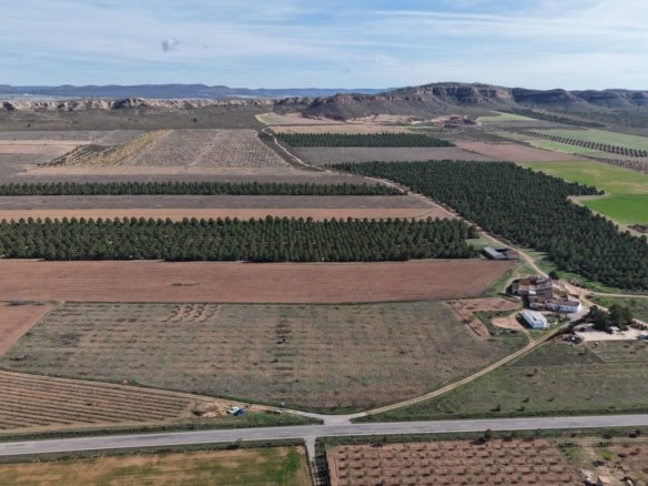 29,940 m² Land in Yecla - Caza De Casa