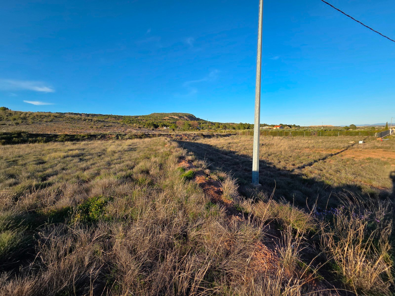 41,630 m² Land in Yecla - Caza De Casa