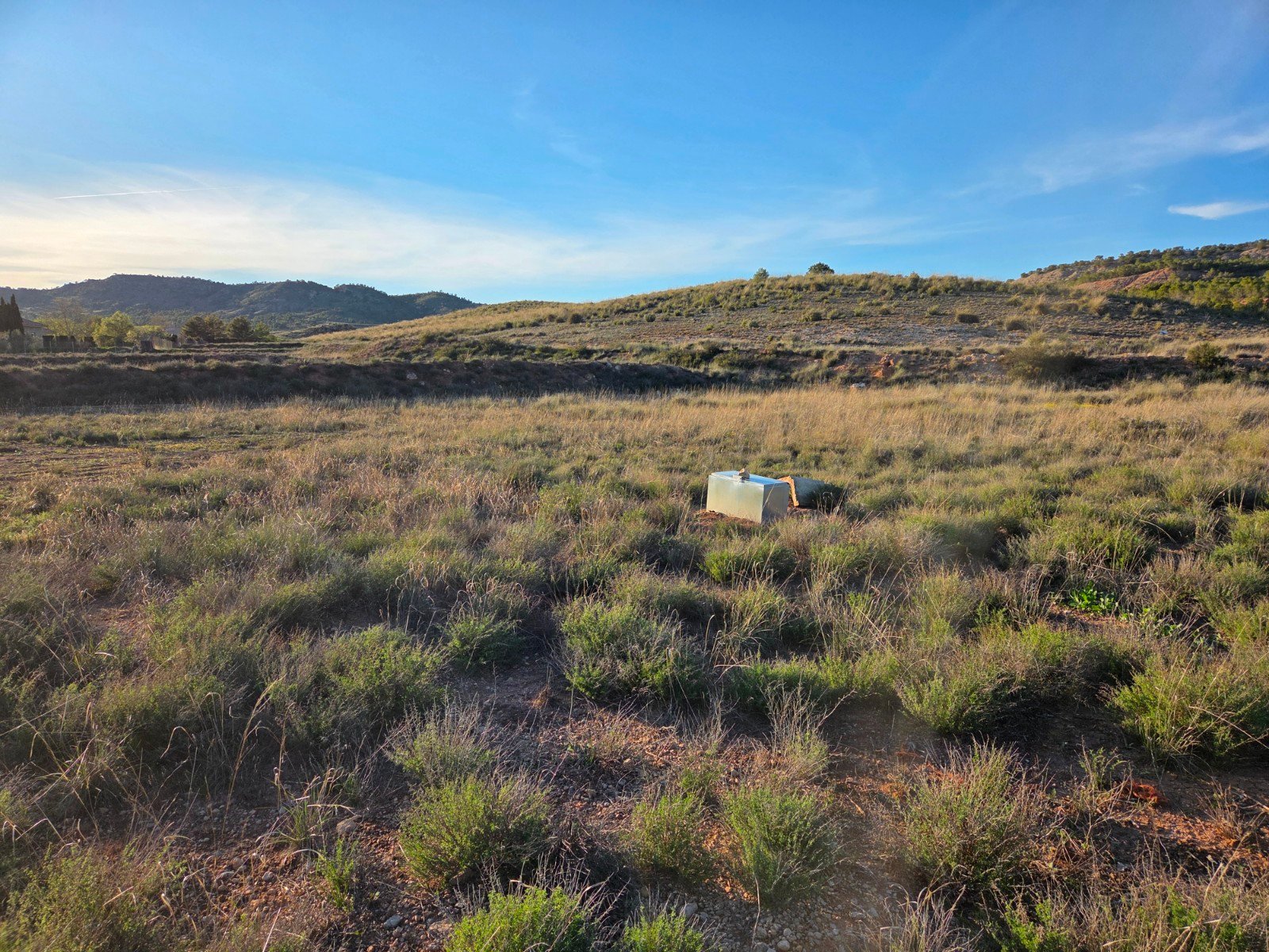41,630 m² Land in Yecla - Caza De Casa