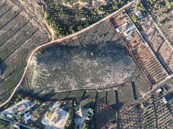 41,630 m² Land in Yecla - Caza De Casa