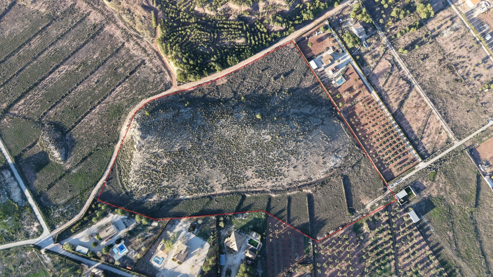 41,630 m² Land in Yecla - Caza De Casa