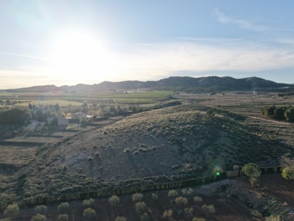 41,630 m² Land in Yecla - Caza De Casa