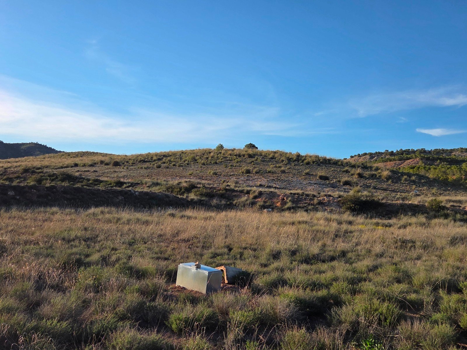 41,630 m² Land in Yecla - Caza De Casa