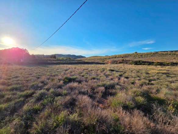 41,630 m² Land in Yecla - Caza De Casa