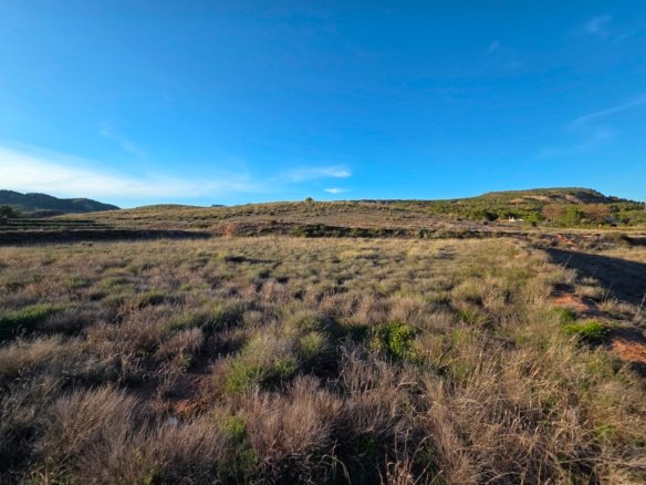 41,630 m² Land in Yecla - Caza De Casa