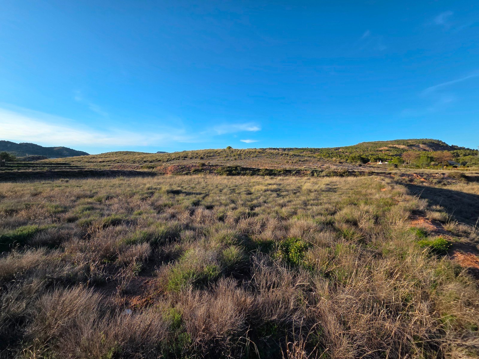 41,630 m² Land in Yecla - Caza De Casa